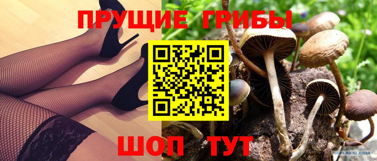 Галлюциногенные грибы GOLDEN TEACHER Балашиха