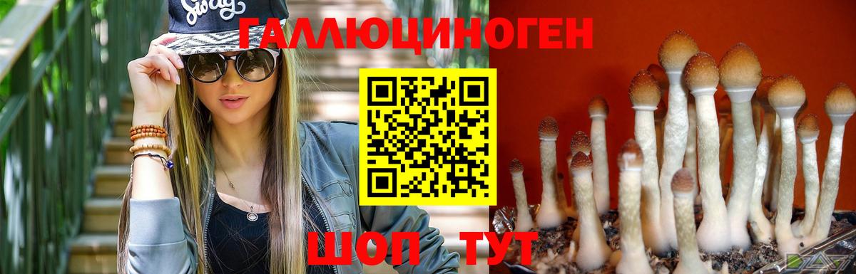 Галлюциногенные грибы MAGIC MUSHROOMS  дарнет шоп  Балашиха  Вход с VPN  Галлюциногенные грибы Magic Shrooms 
