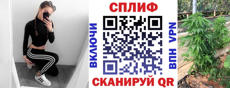 Бошки марихуана MAZAR  площадка наркотические препараты  Балашиха  цена  