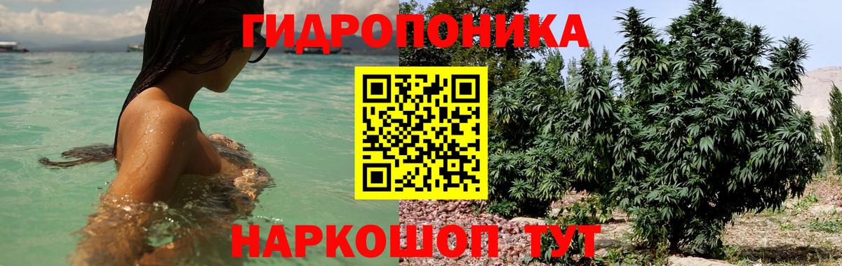 Бошки Шишки сатива  Каннабис сатива  Шишки марихуана семена  Марихуана ГИДРОПОН  Балашиха 